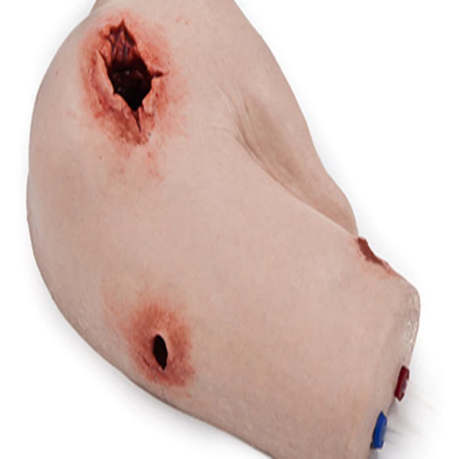 Safeguard SimBodies Upper Arm Manikin Training Arm, Task Trainer - Wound Pack, 3 lbs Each - Task Trainer - Wound Pack - Image 1