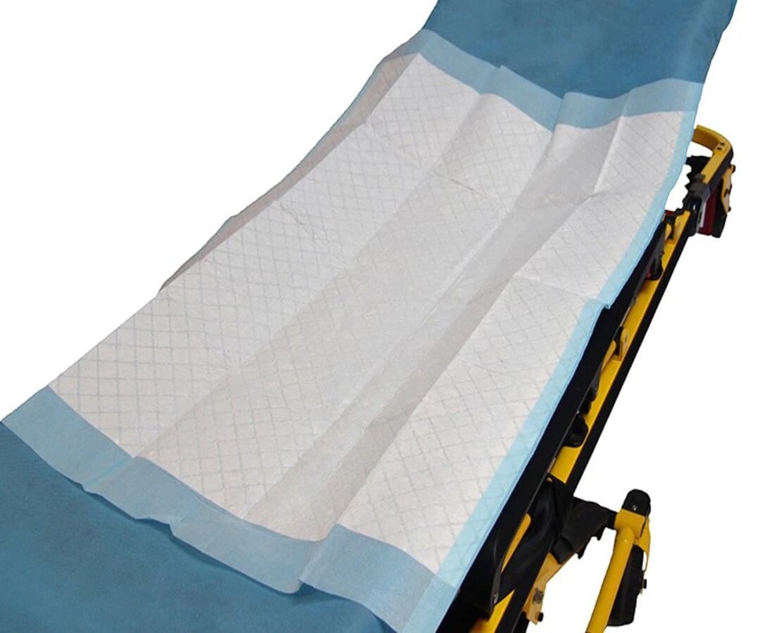 Taylor Healthcare Absorbent Underpad, 23" x 36", Small, Nonwoven/Poly, White/Blue, Disposable, 100/Case - Absorbent Underpad - Image 1