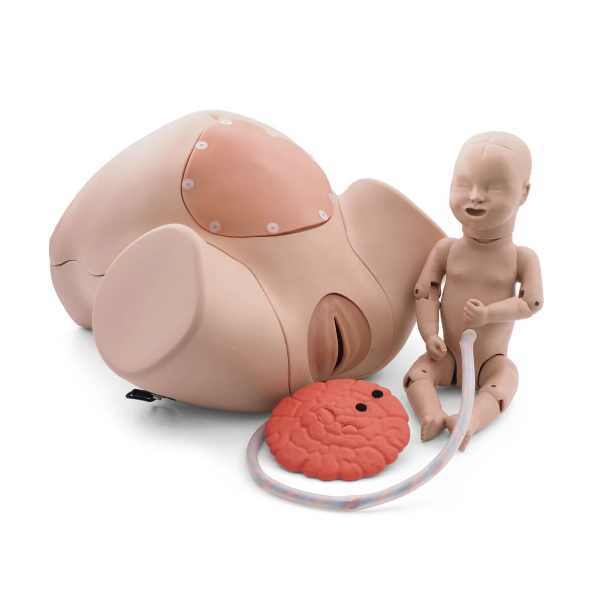 3B Scientific Birthing Simulator Basic, Light Skin (Each) - Birthing Sim Basic - Image 1