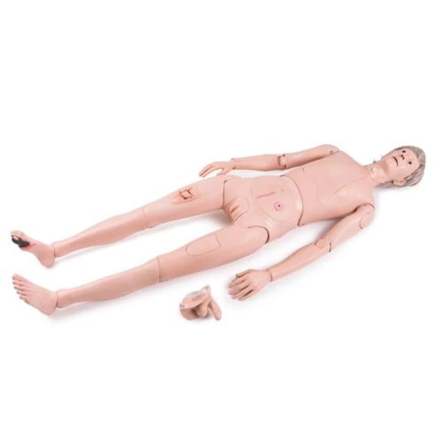3B Scientific Essential Nursing Lab Set, Light Skin (Nursing Skills Trainer Set) - Essential Nursing Lab Set - Image 1