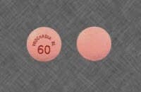 Procardia XL Extended-Release Tablets, 60 mg, 100 Tablets/Bottle - Procardia XL Tablets - Image 1