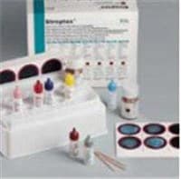 Streptex Strep A Positive Control, 2 mL, 50 Vials - Streptex Positive Control - Image 1