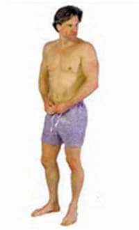 Dipsters Boxer Shorts, Polyethylene, Autoclavable, Disposable, 3X Large, Beige/Blue Plaid, 12/Package - Dipsters Boxer Shorts - Image 1
