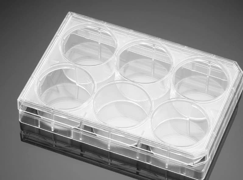 Falcon 6-Well Cell Culture Plate, Polystyrene, Flat Bottom with Lid, Sterile, TC-Treated, 15.5 mL, 50/Case - Tissue Culture Plate 6-Well - Image 1