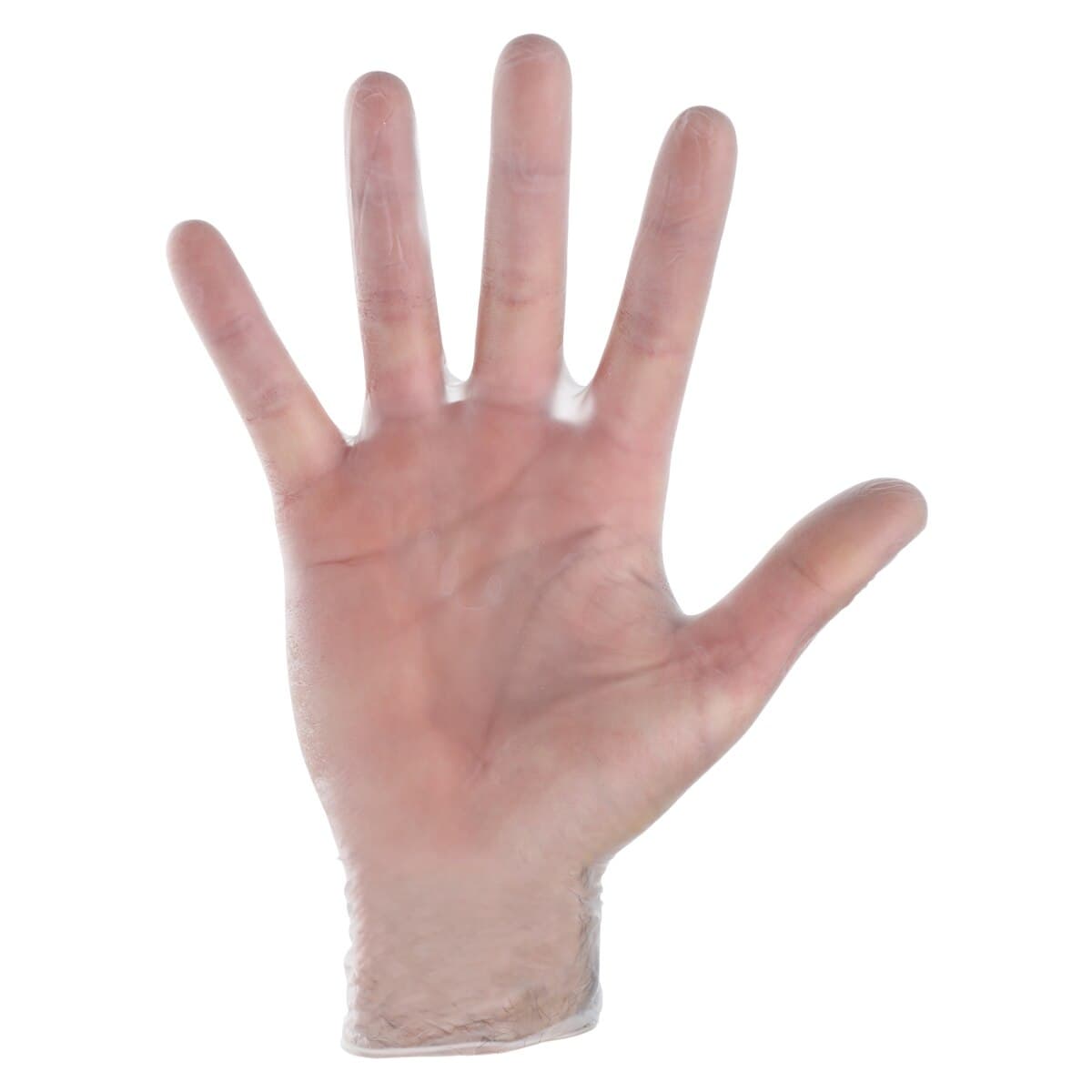 Medline AccuTouch PF Vinyl Examination Gloves, Powder Free, Non-Sterile, Large, Clear, 100/Box, 192076 thumbnail 3