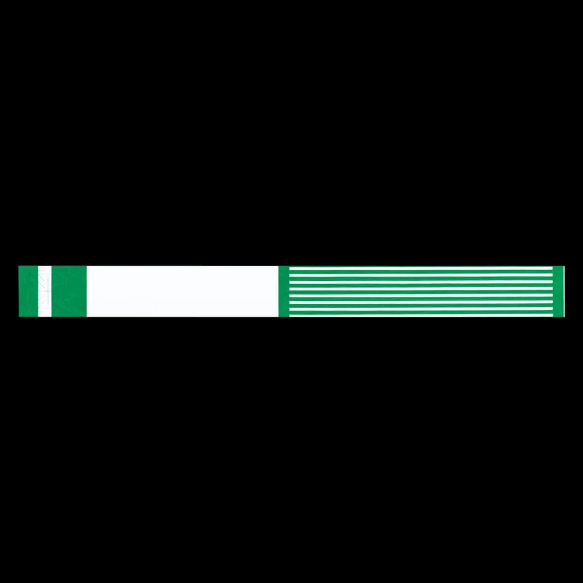 Precision Dynamics Short Stay Write-On Wristband, Tyvek, Adhesive, Kelly Green, Adult/Pediatric, 10", 1000/Box - Wristband Id Kelly Green - Image 1