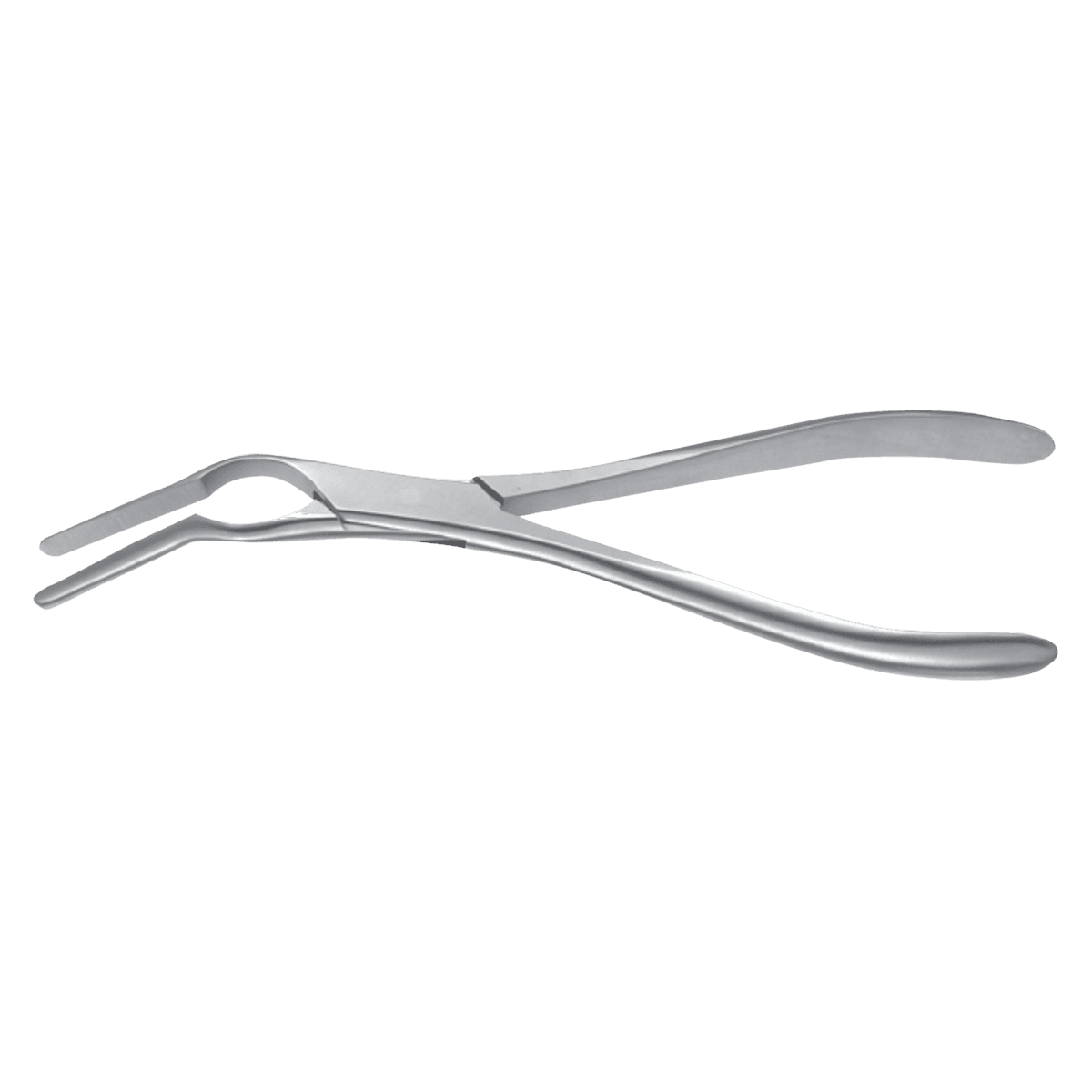 Padgett Asch Septum Forceps, 9" - Forceps Asch Septum Straighten - Image 1