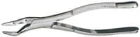 Miltex #32A Universal Extracting Forceps, Serrated, Stainless Steel, 1 Each - Extracting Forceps – # 32A, Universal - Extracting Forceps – # 32A, Universal - Image 1