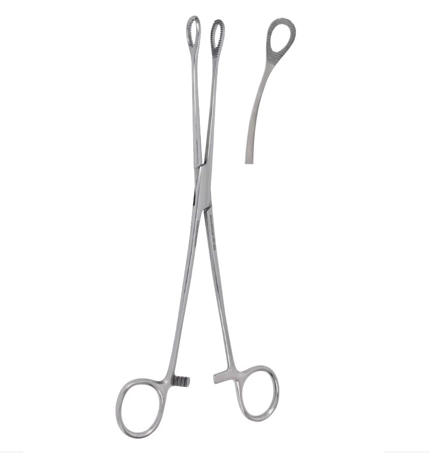 Vantage Foerster Sponge Forceps, 9.5" Curved, Serrated, Fenestrated Oval Tips, Floor Grade Stainless Steel, Non-Sterile - Vantage Foerster 9.5 Cvd Sponge Forceps - Image 1