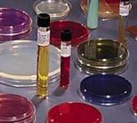 BBL Trypticase Soy Agar II Plate, TSA II, 10x10/Box - Trypticase Soy Agar Culture - Image 1