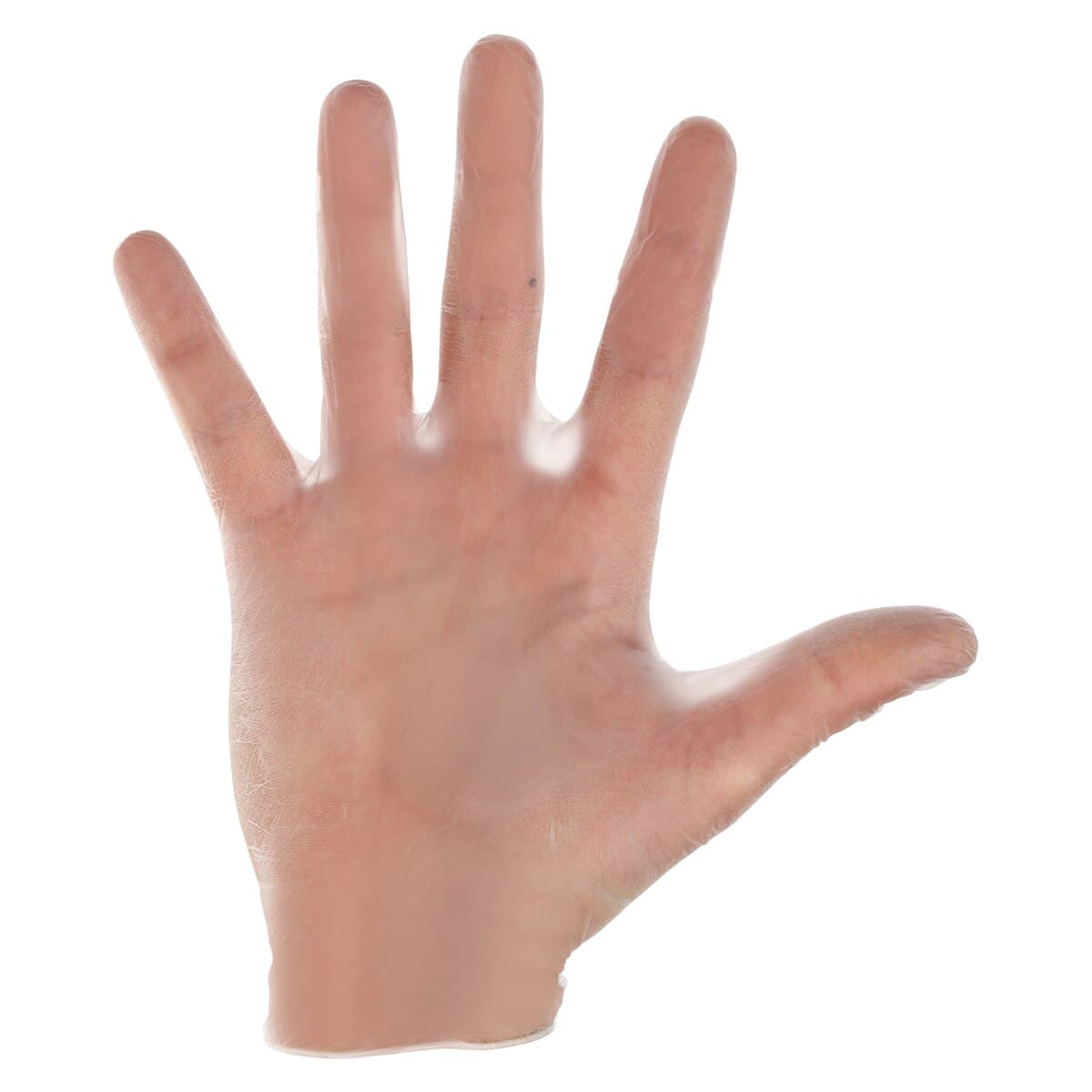 Adenna Vinyl PF Exam Gloves, Powder Free, Non-Sterile, Large, Clear, 100/Box, VPF236 thumbnail 3
