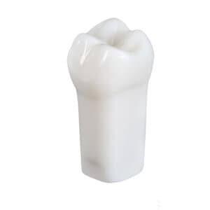 Kilgore International #14 MO PREP - #14 MO PREP - Image 1