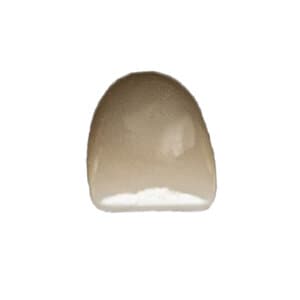 Acero Z1 Zirconia Crown, Upper Lateral Incisor, Size 3, 1/Pack, Z1 DG3 thumbnail 4