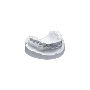 Whip Mix Mounting Stone, White, Fast Setting, 100 g Packets, 100/Box, 18730 thumbnail 7
