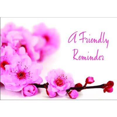 Spring 4-Up Laser Postcards, Cherry Blossoms, 5-1/2" W x 4-1/4" H, 100/Pkg - Spring 4-Up Laser Postcards, 100/Pkg - Cherry Blossoms, 5-1/2" W x 4-1/4" H - Image 1