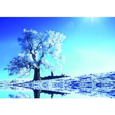 Winter 4-Up Laser Postcard, Winter Lake, 5-1/2" W x 4-1/4" H, 100/Pkg - Winter 4-Up Laser Postcard, 100/Pkg - Winter Lake, 5-1/2" W x 4-1/4" H - Image 1