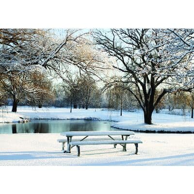 Winter 4-Up Laser Postcard, Winter Table Design, 5-1/2" W x 4-1/4" H, Full Color, 100/Pkg thumbnail 2