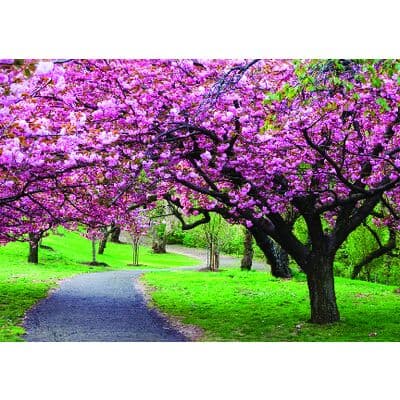 Spring 4-Up Laser Postcards, Spring Trees Design, 5-1/2" W x 4-1/4" H, 100/Pkg - Spring 4-Up Laser Postcards, 100/Pkg - Spring Trees, 5-1/2 W x 4-1/4 H, 100/Pkg - Image 1