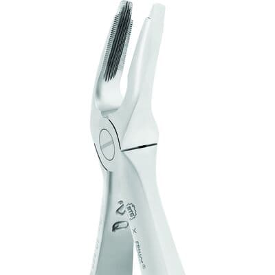 FRINGS Extracting Forceps – BTG Modified #150, Upper Universal, Stainless Steel, 1/Pkg thumbnail 2