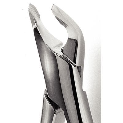 Hu-Friedy Presidential Series #151 Apical Extraction Forceps, Lower Universal, FAF151 thumbnail 10