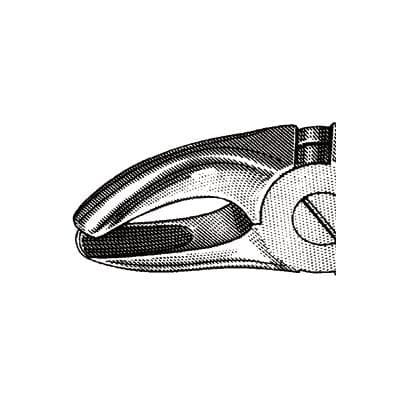 Hu-Friedy Extraction Forceps MD2 Mead Serrated, Upper 1st/2nd/3rd Molars, Universal, Stainless Steel thumbnail 10
