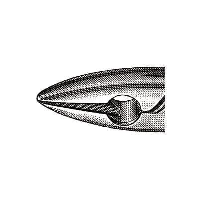 Miltex #1 Standard Upper Incisor & Cuspid Extracting Forceps, Stainless Steel, 6-1/2" thumbnail 6
