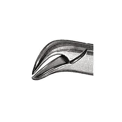 Hu-Friedy Extraction Forceps, Standard Pedo Series, 16S, Lower Molars, Thumb Hook, Stainless Steel, Each thumbnail 9