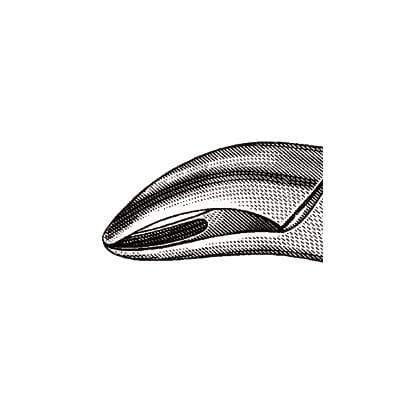 Hu-Friedy #62 Extraction Forceps, Universal, Stainless Steel, Upper and Lower Anteriors, F62 thumbnail 10