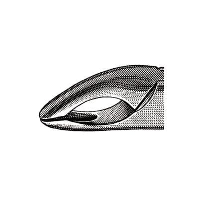 Hu-Friedy Extraction Forceps #150A Cryer, Parallel Beaks, Upper Incisors/Canines/Premolars, Stainless Steel, Each thumbnail 9