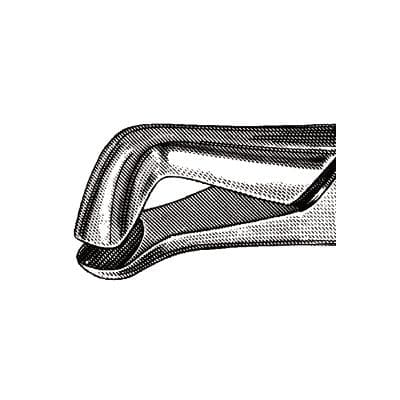Hu-Friedy Presidential 222 Extraction Forceps, Lower Third Molar, Stainless Steel, F222 thumbnail 11