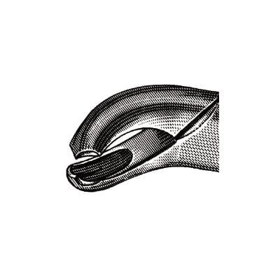 Miltex #15 Extracting Forceps, Lower 1st & 2nd Molars, Stainless Steel, Universal thumbnail 5