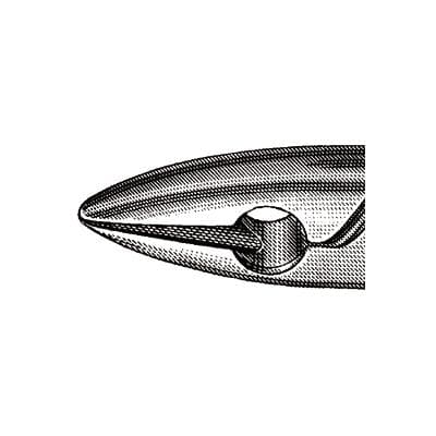 Miltex Extracting Forceps #99C, Upper Anterior, Stainless Steel, DEF99C thumbnail 5