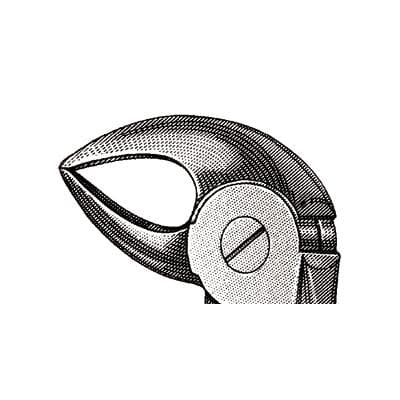 Miltex #33 Extracting Forceps, English Pattern, 4-1/2", Petite, Serrated, Lower Root, Stainless Steel thumbnail 3