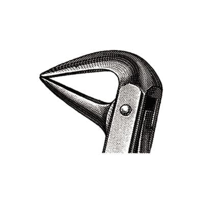 Miltex Extracting Forceps #74N, English Pattern, 4-1/2", Petite, Lower Root, Narrow Beak, Stainless Steel, DEF74N thumbnail 5