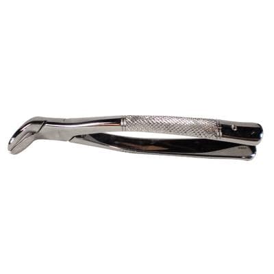 Patterson® Extracting Forceps #6, Stainless Steel, Upper Canine/Incisor, 1/Pkg - Patterson® Extracting Forceps – # 6 - Patterson® Extracting Forceps – # 6 - Image 1