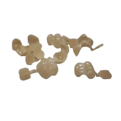 DirectCrown Pediatric Posterior Refill, Small Upper Right Primary Molar, 8 Shells/Pack (PC1) thumbnail 3