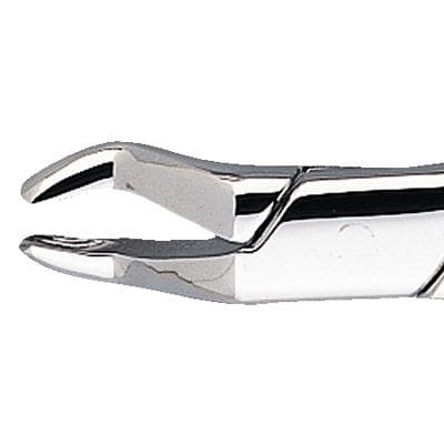 Patterson® Extracting Forceps #10, Stainless Steel, Upper Molar Extraction, 1/Pkg - Patterson® Extracting Forceps – # 10 - Patterson® Extracting Forceps – # 10 - Image 1