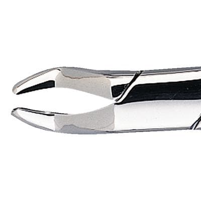 Patterson® Extracting Forceps #10H, Universal, Hook Handle, Stainless Steel, 1/Pkg - Patterson® Extracting Forceps – # 10H, Universal, Hook Handle - Patterson® Extracting Forceps – # 10H, Universal, Hook Handle - Image 1