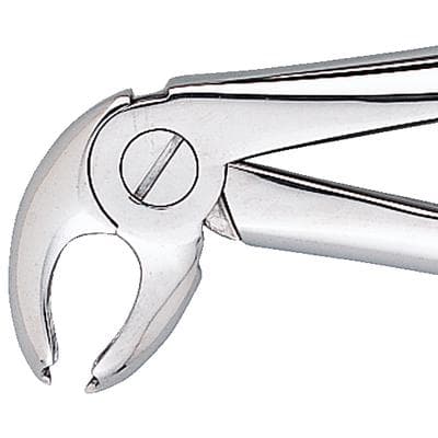 Patterson® Extracting Forceps #FX22, Universal, Stainless Steel, 1/Pkg - Patterson® Extracting Forceps – # FX22, Universal - Patterson® Extracting Forceps – # FX22, Universal - Image 1