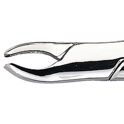 Patterson® Extracting Forceps #24, Universal, Hook Handle, Stainless Steel, 1/Pkg - Patterson® Extracting Forceps – # 24, Universal, Hook Handle - Patterson® Extracting Forceps – # 24, Universal, Hook Handle - Image 1
