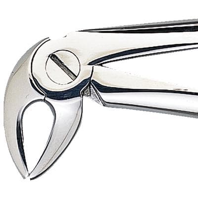 Patterson® Extracting Forceps #FX33, Lower Root, Stainless Steel, 1/Pkg - Patterson® Extracting Forceps – # FX33 - Patterson® Extracting Forceps – # FX33 - Image 1