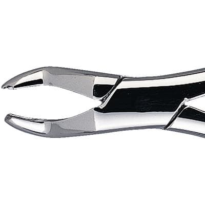 Patterson® Extracting Forceps #53R, Upper Right Molar, Stainless Steel, 1/Pkg - Patterson® Extracting Forceps – # 53R - Patterson® Extracting Forceps – # 53R - Image 1