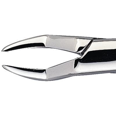 Patterson® Extracting Forceps #65, Stainless Steel, Upper Incisor/Root/Fragment Extraction, 1/Pkg - Patterson® Extracting Forceps – # 65 - Patterson® Extracting Forceps – # 65 - Image 1