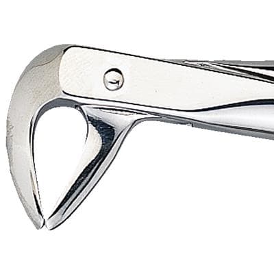 Patterson® Extracting Forceps #FX74N, Narrow Beak, Lower Root, Stainless Steel, 1/Pkg - Patterson® Extracting Forceps – # FX74N, Narrow Beak - Patterson® Extracting Forceps – # FX74N, Narrow Beak - Image 1