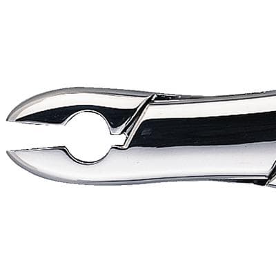 Patterson® Extracting Forceps #99C, Upper Bicuspid/Cuspid/Incisor, Stainless Steel, 1/Pkg - Patterson® Extracting Forceps – # 99C - Patterson® Extracting Forceps – # 99C - Image 1