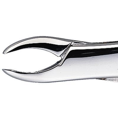 Patterson® Extracting Forceps #101, Stainless Steel, 1/Pkg - Patterson® Extracting Forceps – # 101 - Patterson® Extracting Forceps – # 101 - Image 1
