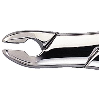 Hu-Friedy 151A Cryer Forceps, Lower Anteriors and Premolars, Stainless Steel, Each thumbnail 9