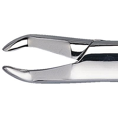 Patterson® Extracting Forceps #210, Universal, Hook Handle, Stainless Steel, 1/Pkg - Patterson® Extracting Forceps – # 210, Universal, Hook Handle - Patterson® Extracting Forceps – # 210, Universal, Hook Handle - Image 1