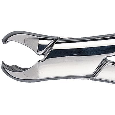 Patterson® Extracting Forceps #217, Universal, Cowhorn Beak, Stainless Steel, 1/Pkg - Patterson® Extracting Forceps – # 217, Universal - Patterson® Extracting Forceps – # 217, Universal - Image 1