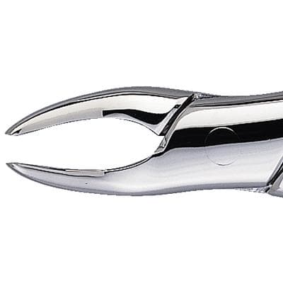 Patterson® Extracting Forceps #69, Stainless Steel, 1/Pkg - Patterson® Extracting Forceps – # 69 - Patterson® Extracting Forceps – # 69 - Image 1